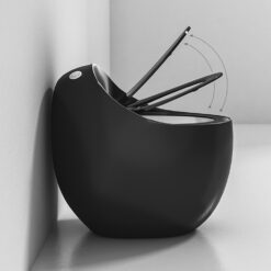 Arohe Exclusive One-Piece Toilet A088 05