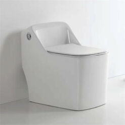 Arohe Exclusive One-Piece Toilet A069